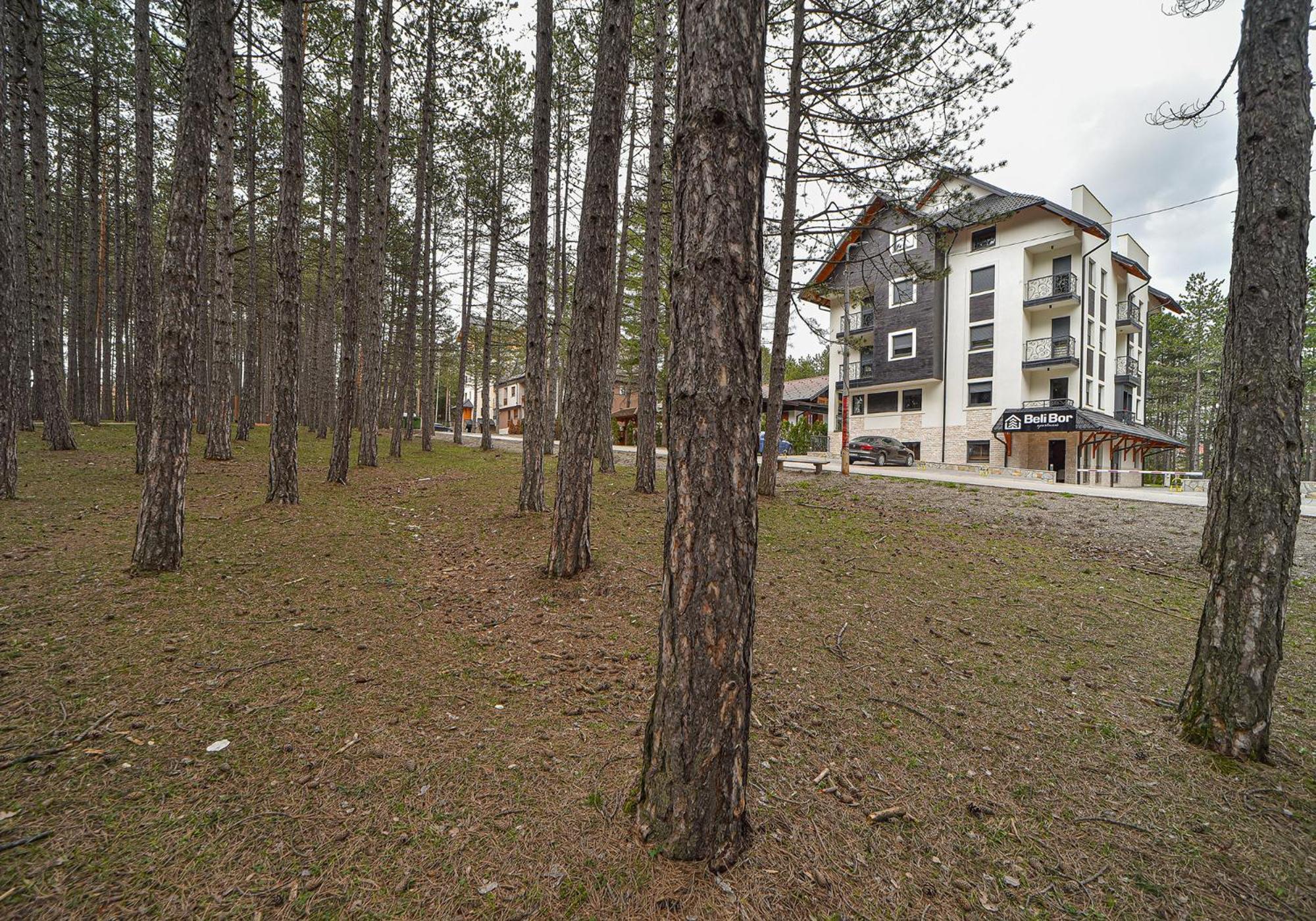 Beli Bor Zlatibor Aparthotel Exteriör bild